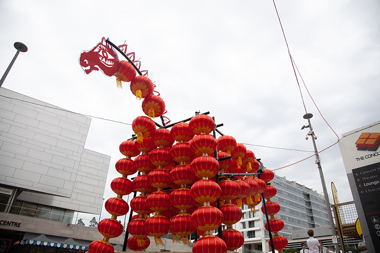 Horse_front_IMG_3474_768px