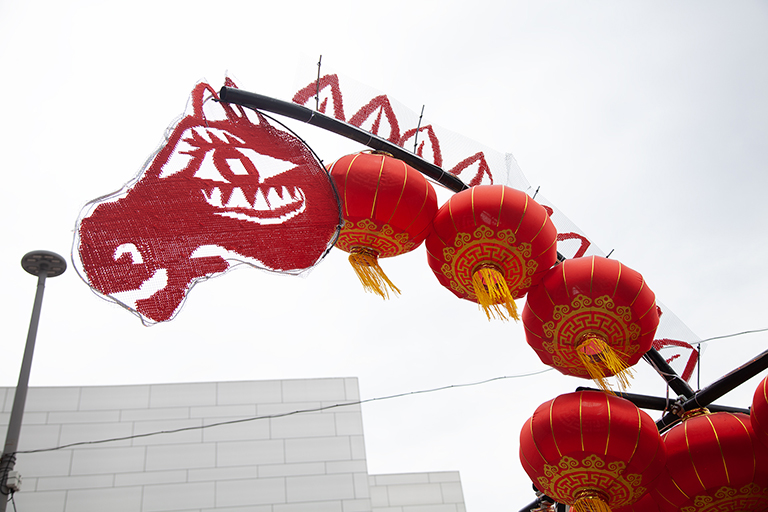 Horse_head_IMG_3424_768px